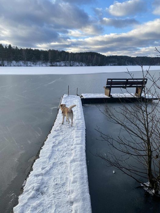 Ferie, wakacje, weekend,na Kaszubach w "Stokrotkowie",dom na wyłączn