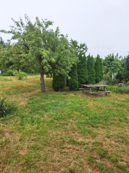 Działka ogrodowa – pohled 4
