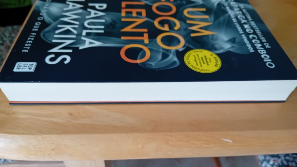 Um fogo lento - Paula Hawkins