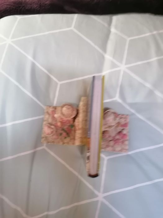 Livro Tudo o que uma rapariga deve de saber