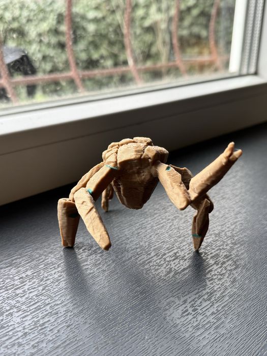 Рокки из «Проекта "Аве Мария"»