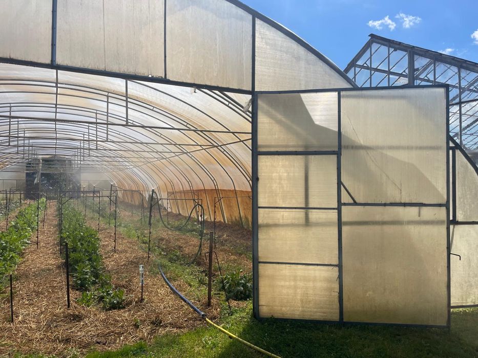 Namiot tunel foliowy ocynkowany 10 x 30 m Wrocław