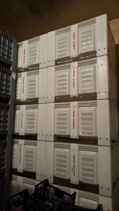 Palotes de Plástico