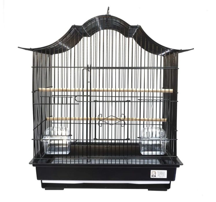 Gaiolas para aves demosticadas