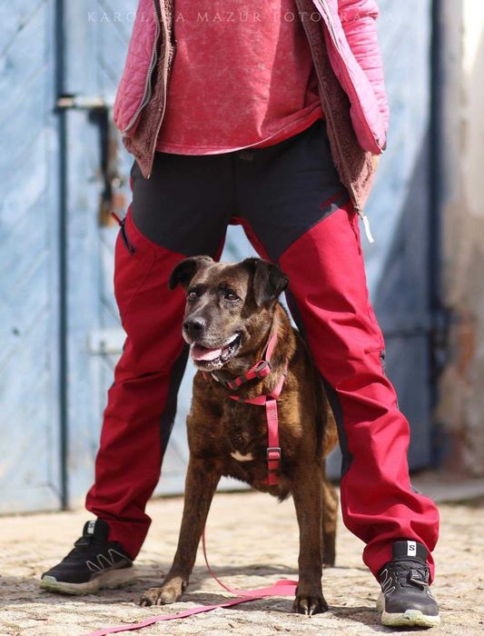 Kochana sunia do adopcji - Trufla!