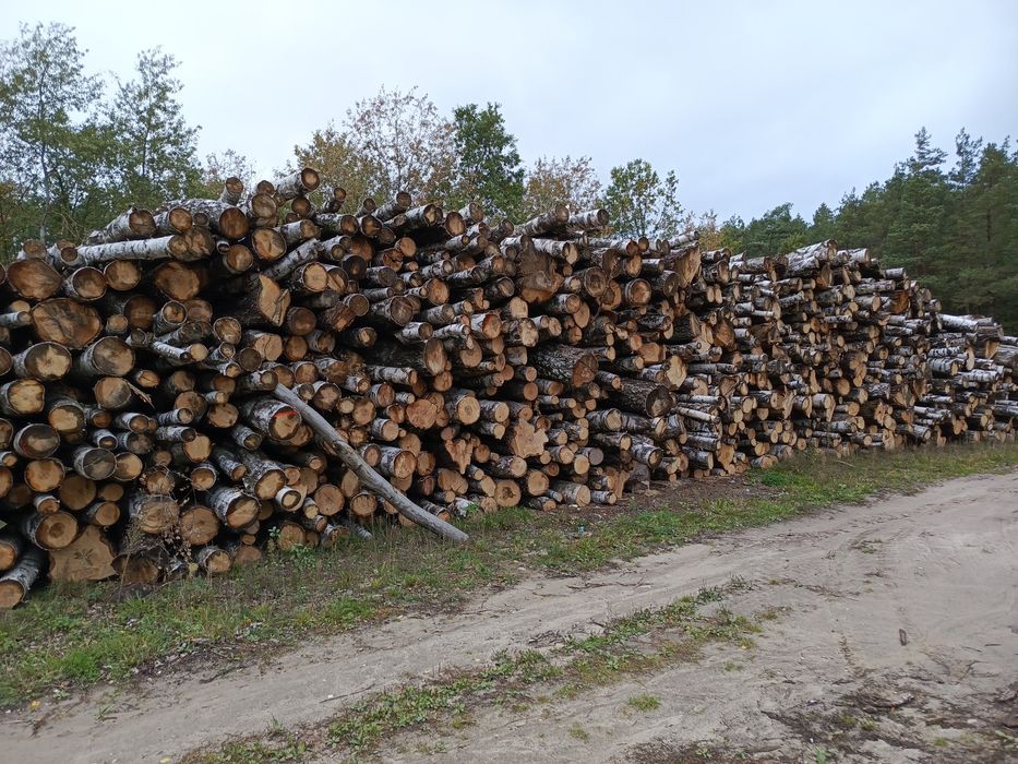 Drewno kominkowe / Opał / Transport