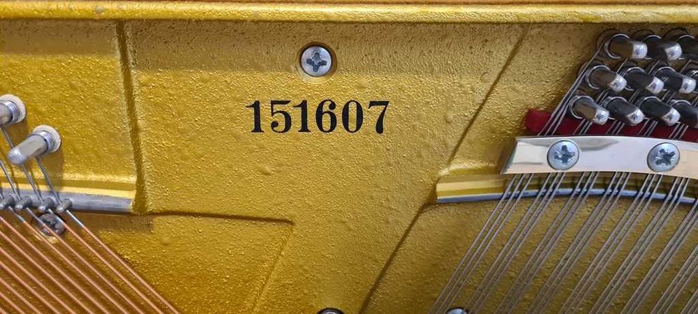 Profesjonalne, najlepsze pianino Grotrian Steinweg 1996 r. + silent
