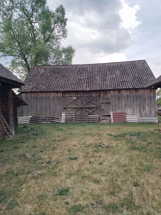 Dom z siedliskiem Brzuza