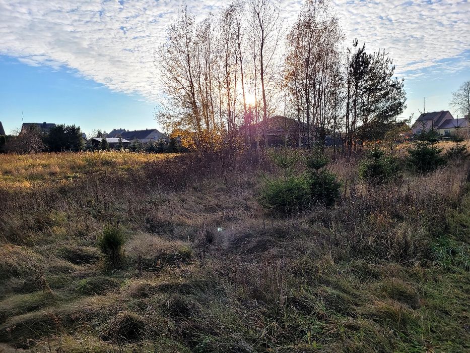 Duża działka budowlana w Zalesiu, wydane warunkami zabudowy