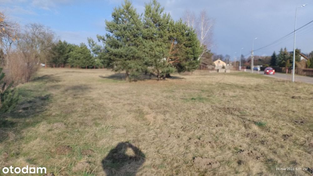 Działka budowlana o pow. 2500 m² w Aleksandrowie Ł - Więcej