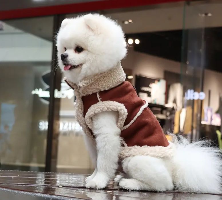 Casaco com pelo para cao / gato