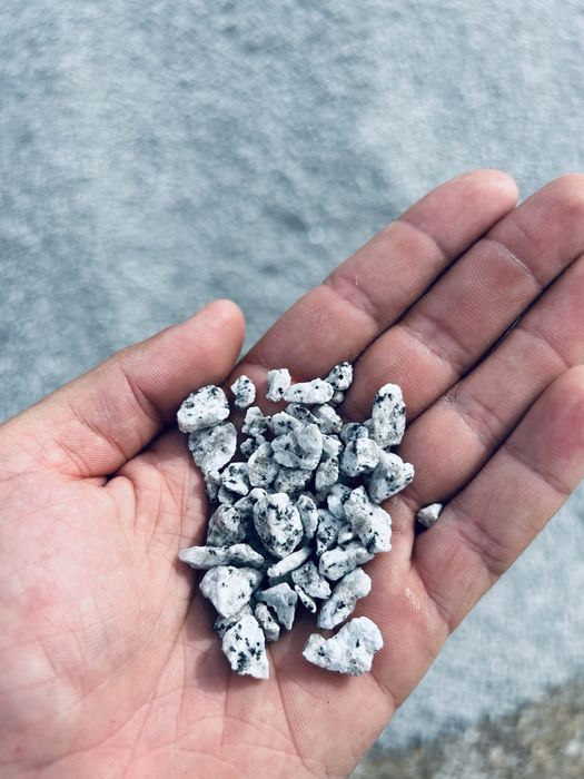 Szary Grys Granitowy Dalmatyńczyk 2-5, 8-16, 16-22 Szary Granit Żwir