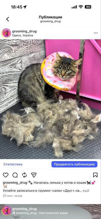 Вычесывание/Стрижка котов .
