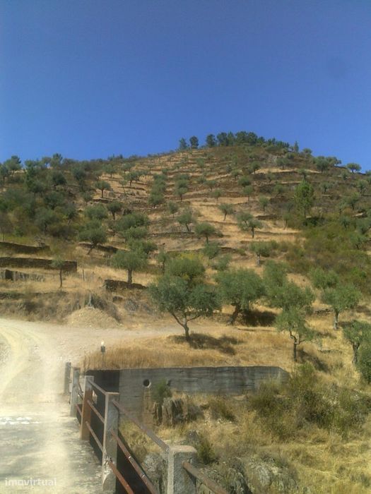 Set of 4 plots in Castelo Branco: 2 in Retaxo + 2 in Sarnadas de Rodão