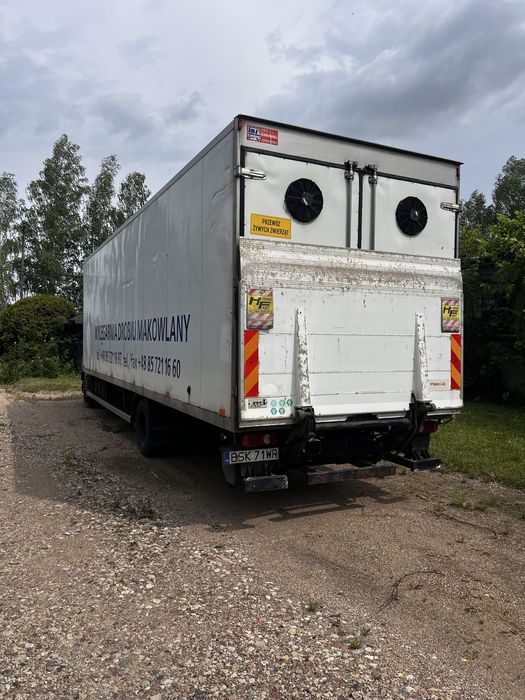 DAF LF 55.220 izoterma przewóz piskląt