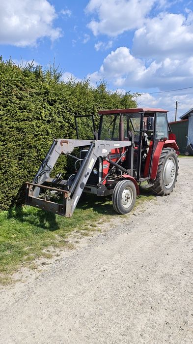 Ciągnik mf255 z turem