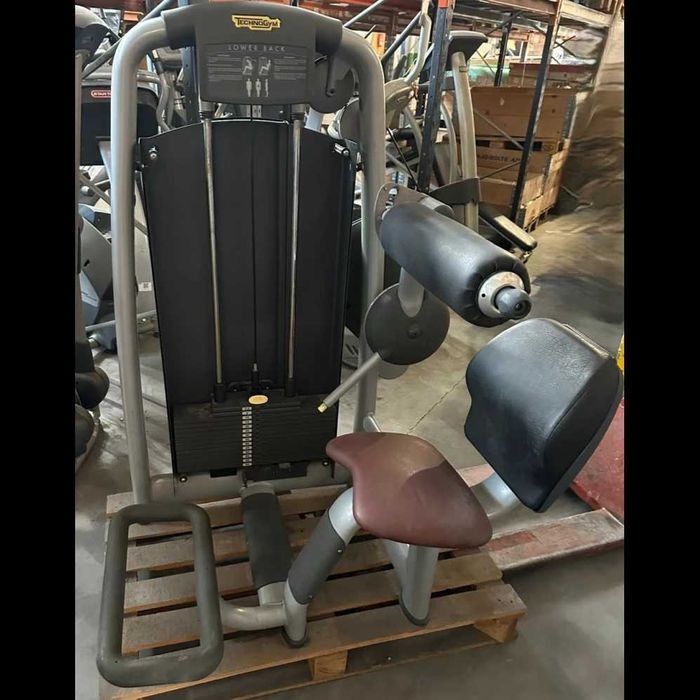 Maszyna do ćwiczeń mięśni grzbietu Lower Back Technogym Selection