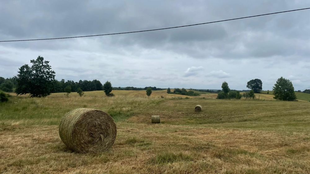 Siano bele 120/120
