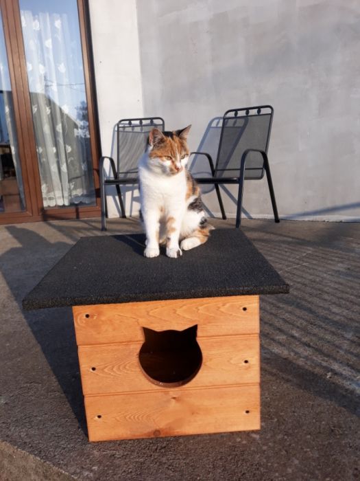 Budka dla kota, domek dla kota