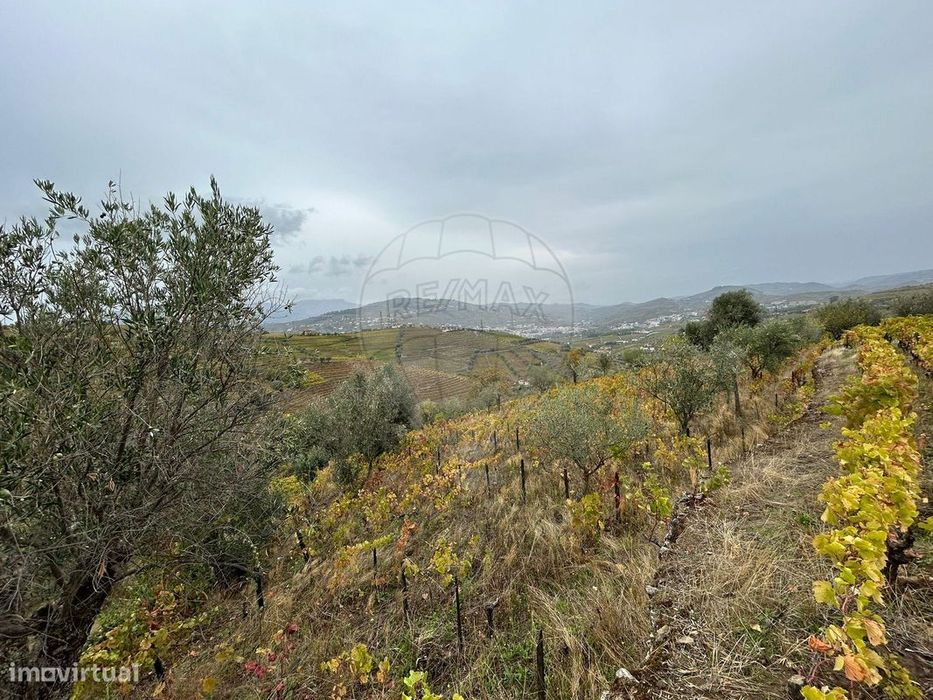 Terreno  para venda — Peso Da Régua E Godim, Vila Real