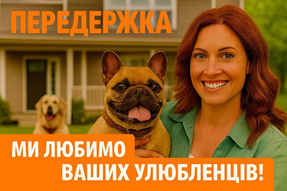 Отель для животных, Отель для собак и кошек, передержка, зоотель