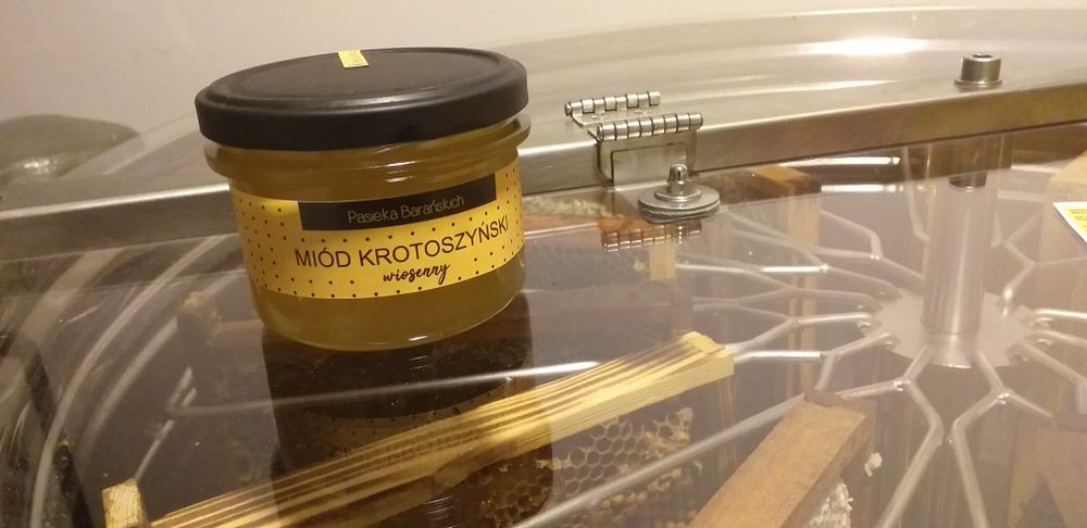 Miód krotoszyński wielokwiatowy