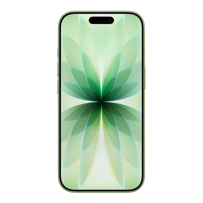 RATY 0% • iPhone 17 256GB • 0 cykli • 100% BAT • Zielony • Gwarancja
