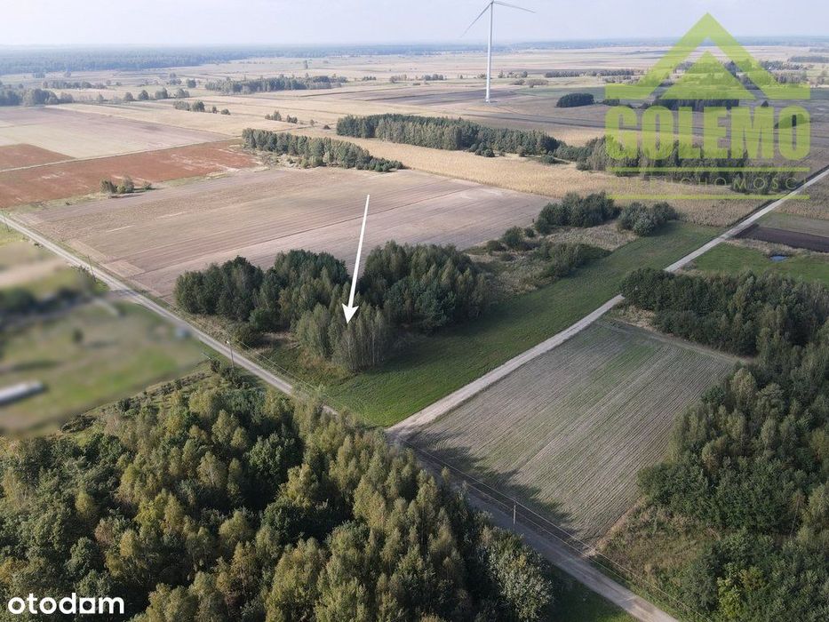 Działka / 1300m2 / Budowlano-Usługowa / Wiercica