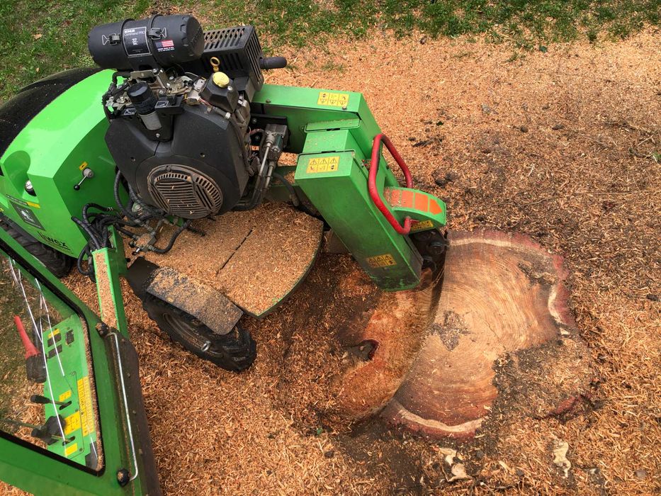 FREZOWANIE usuwanie PNI korzeni karczownik FREZARKA wycinka rębak