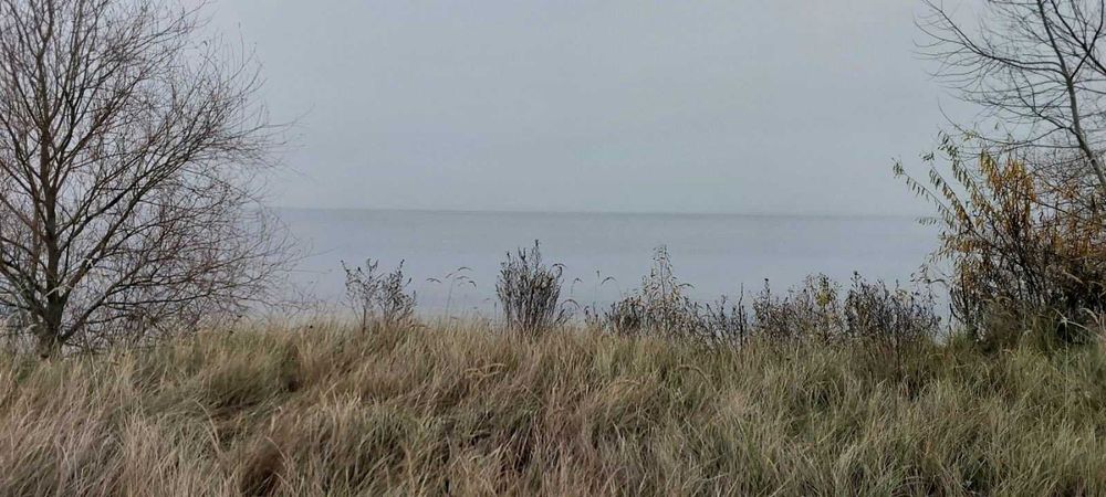 Вихід до води,  Сухолуччя, 22 сотки. Шикарне місце!