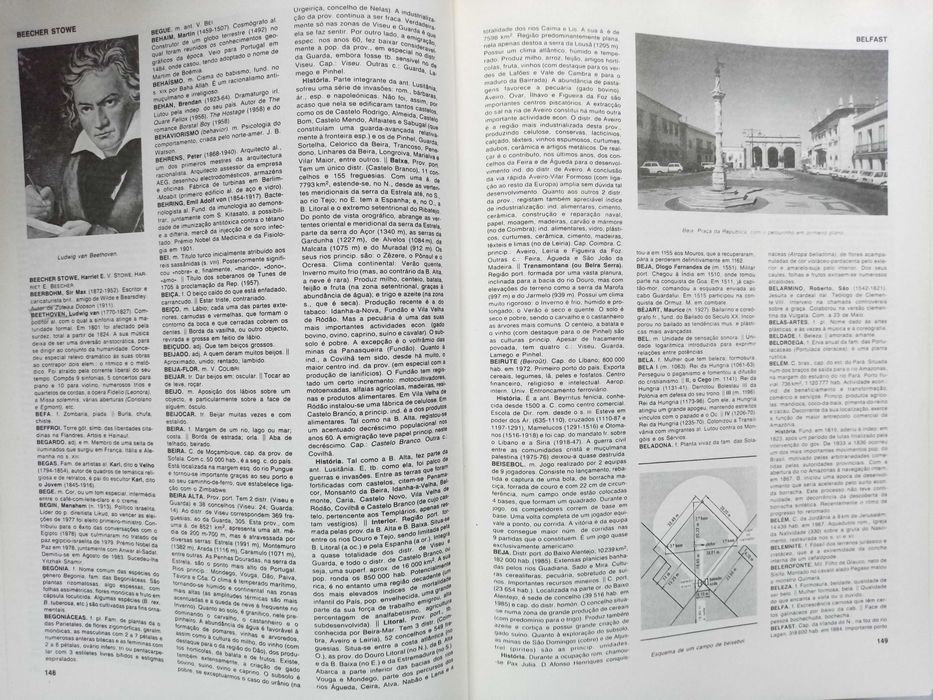 Dicionário Enciclopédico da Língua Portuguesa