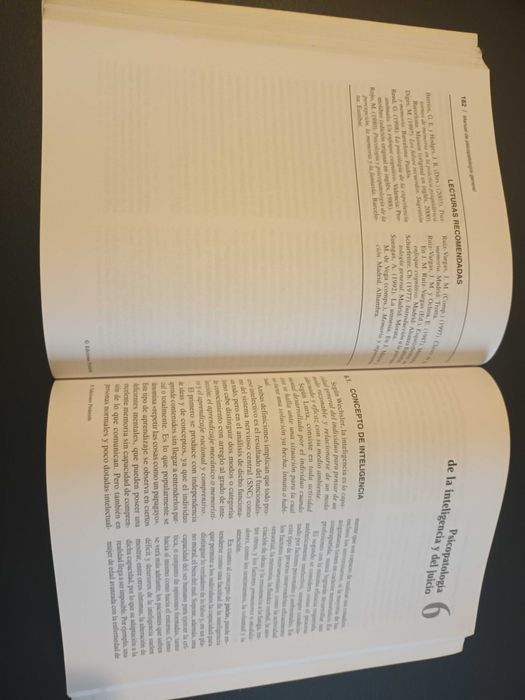 "Manual de Psicopatología General" por Pedro J. Mesa Cid e Juan Testal