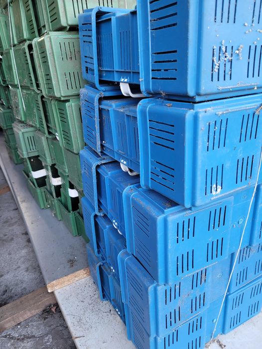 Łubianki, koszyczki plastikowe do owoców.