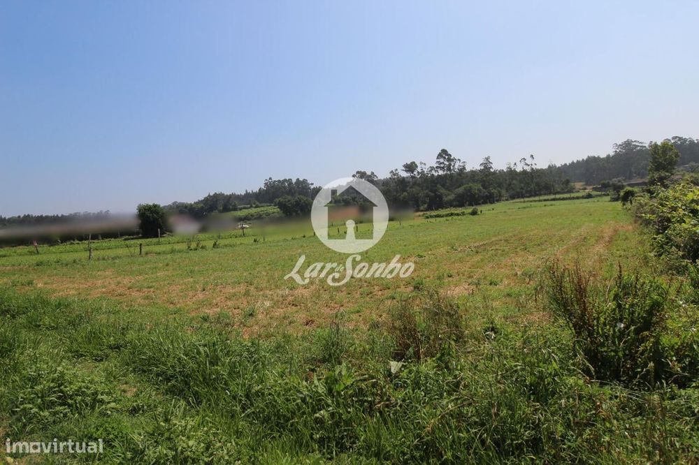 Terreno agrícola com 5000 m2, em Fradelos Vila Nova de Famalicão