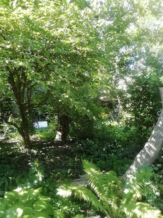 Продаж частини будинку у центрі м. Біла Церква