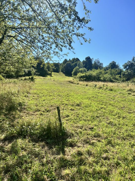 Wyjątkowa działka inwestycyjna 2 ha – Małastów, Beskid Niski