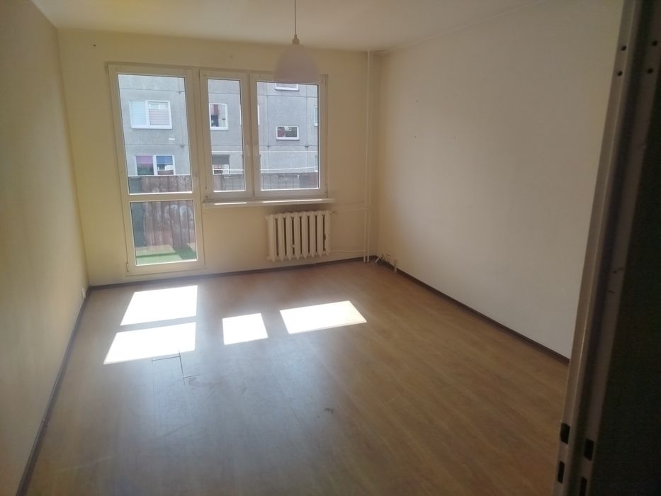 Do wynajęcia mieszkanie w Kole