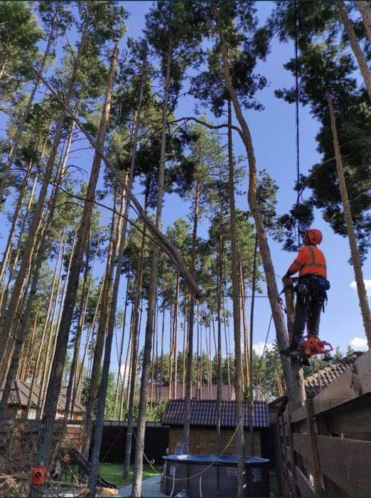 Спилить Дерево, Спиляти ДЕРЕВО, Зрізати ДеРево,Санітарна обрізка Дерев