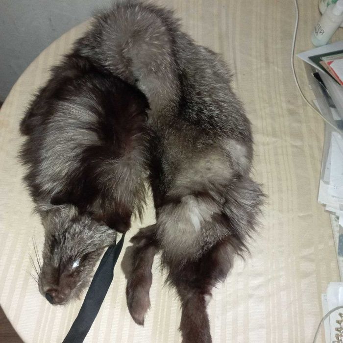 меховый воротник  пальто шуба мех чернобурка