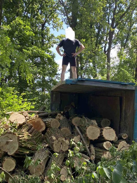 БЕЗЕ ПЕРЕДПЛАТ! Дрова дубові, ясена, колоті дрова недорого