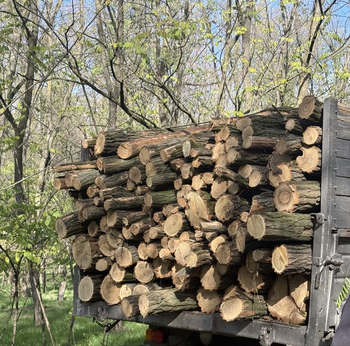 Дрова акации, акация