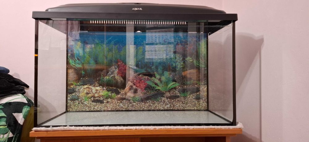 sprzedam akwarium z szafką i osprzętem
