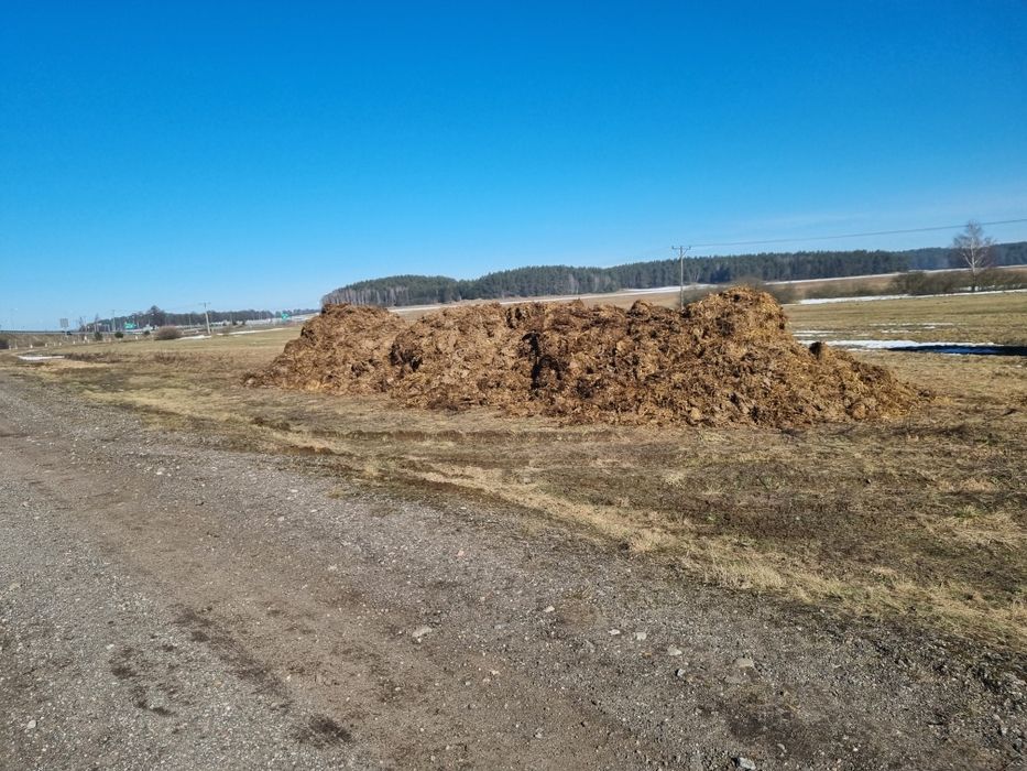 Kurzak, pomiot kurzy, obornik kurzy, obornik bydlęcy