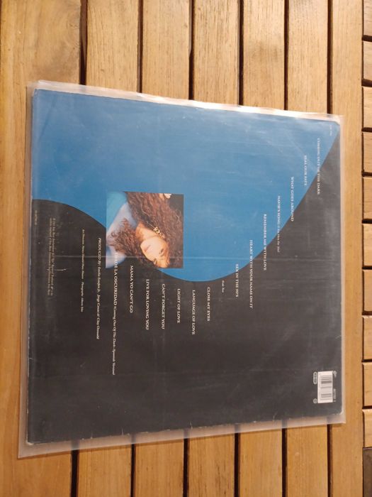 Discos Vinil Gloria Estefan