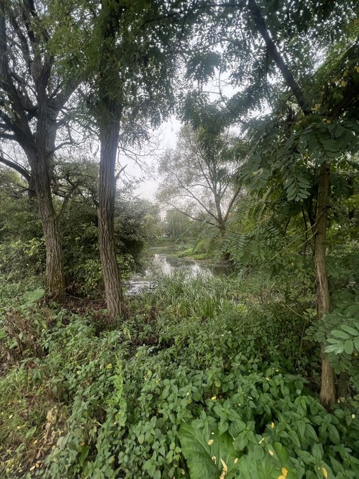 Будинок 16сот, поряд озеро Задорожнє та Baykal Resort