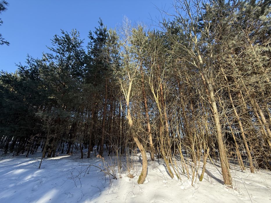 Продаються дві суміжні ділянки 0.15га та 0.2га, с. Лубʼяна