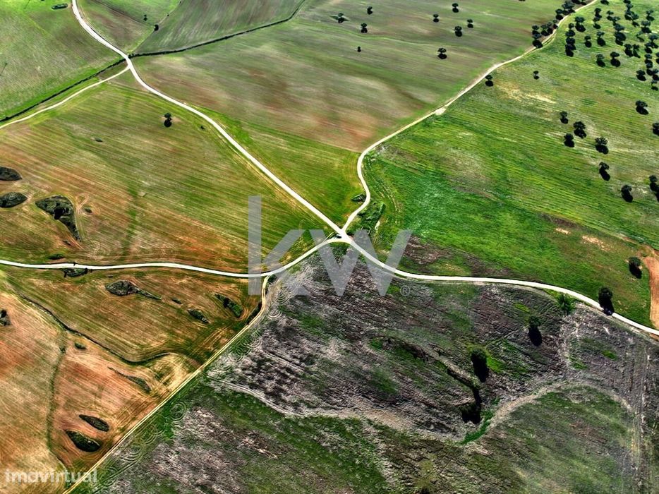 Oportunidade Exclusiva no Coração do Alentejo: Terreno com Potencial A