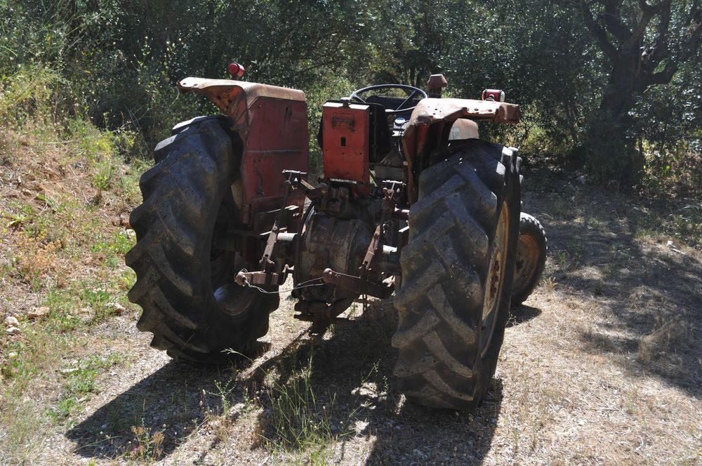 massey  Ferguson  245