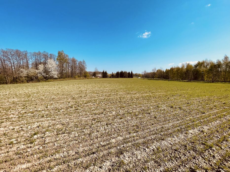 Działka Zagrodowa I linia zabudowy Głebokie - Widok 2