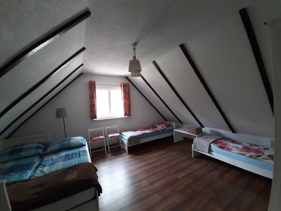 Wolny termin na  MAJÓWKĘ I LATO